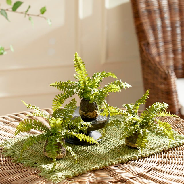Realism Boston Fern Drop-Ins, Set Of 3 For Sale - Image 3 of 7