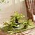 Realism Boston Fern Drop-Ins, Set Of 3 For Sale - Image 3 of 7