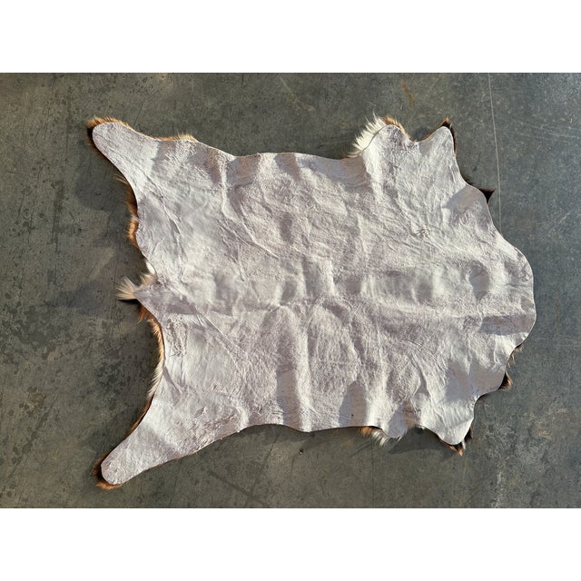 Hair on Hide Genuine Cowhide Mini Wall Hanging/Rug Brown and tan with ivory background Originally from Charlie Leather...