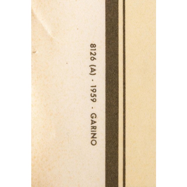 Plastic Educational Poster Depicting Fish from G.B. Paravia Torino, 1959 For Sale - Image 7 of 9