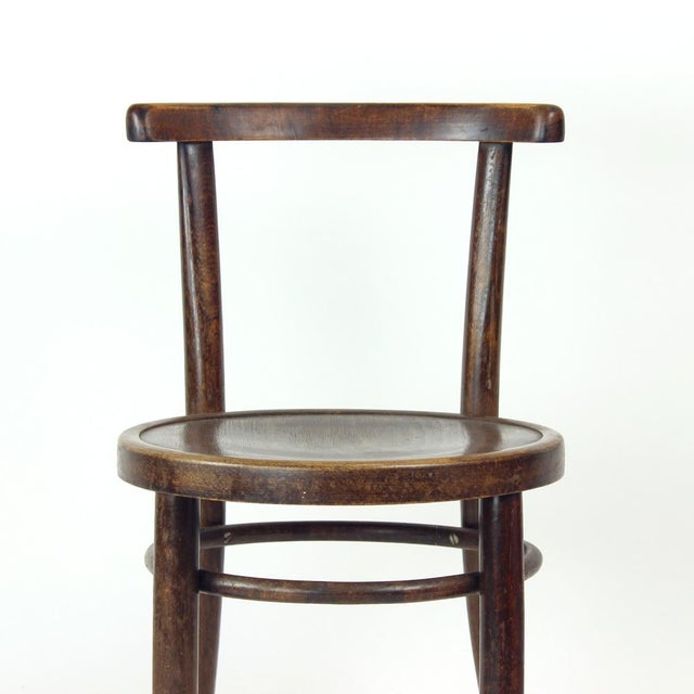 Wood Round Bentwood Children's Chair from Tatra, 1950s For Sale - Image 7 of 14