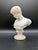 Stone 19th Century Grand Tour Alabaster Bust: Capitoline Antinous For Sale - Image 7 of 13