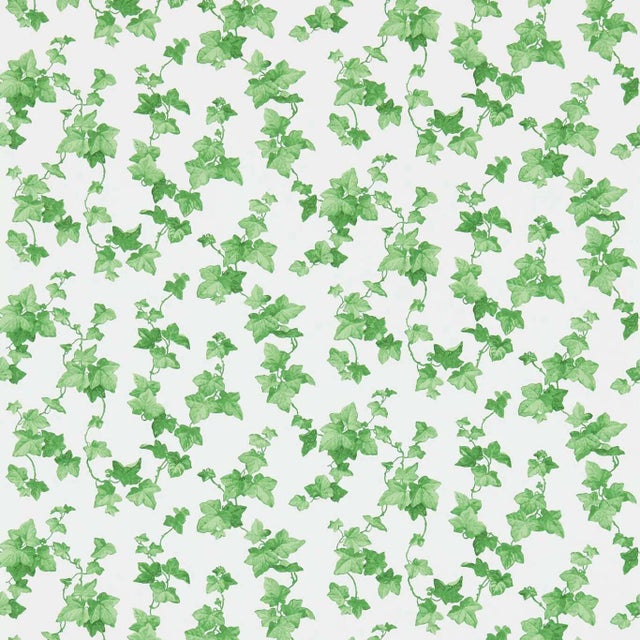 Sanderson Hedera Wallpaper in Green For Sale