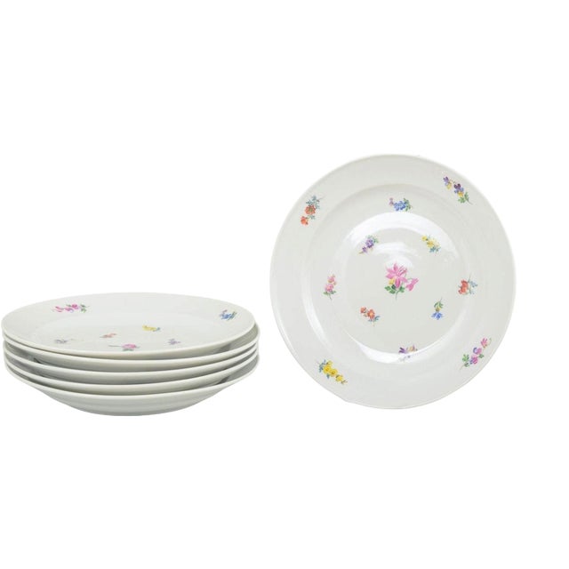 Early 20th Century Dinner Plates in Porcelain with Floral Motifs from Meissen, Set of 6 For Sale