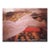 Nan Goldin Untitled Official Exhibition Poster For Sale