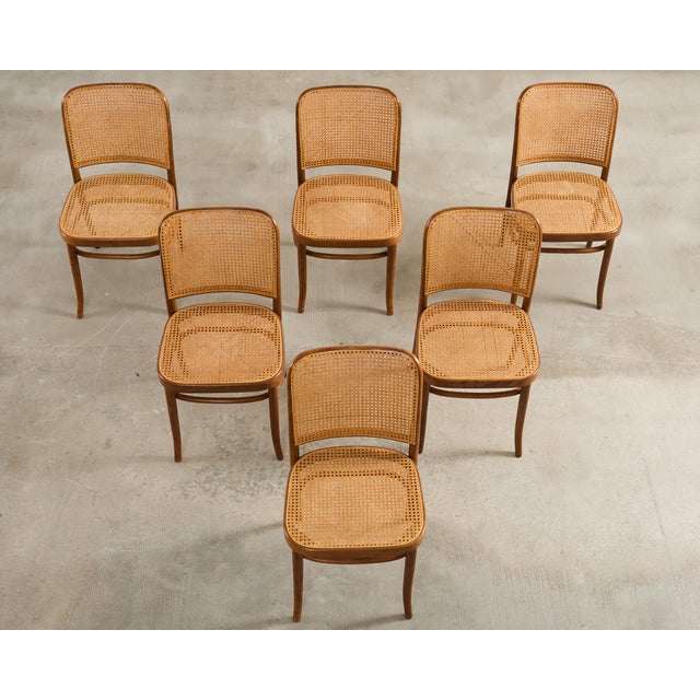 Traditional Set of Six Thonet Bentwood Prague Dining Chairs by Josef Hoffmann For Sale - Image 3 of 18