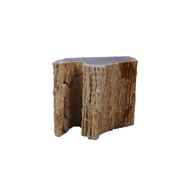 Petrified Wood Side Table by Xyleia Petrified Wood, in New conditions. Designed from 2000