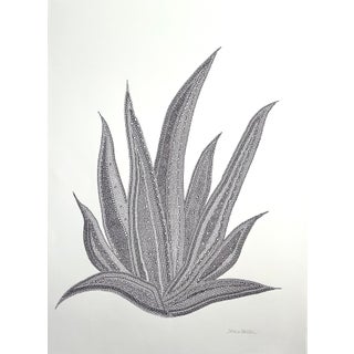 Sarah Vaaler Original Minimalist Desert Still Life Drawing of an Agave Cactus For Sale