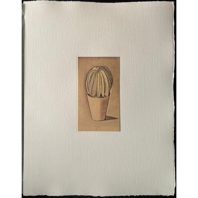 Giorgio Morandi (1890-1964) "Cactus" (Cactus) Colour Photo-lithograph on thick cotton handmade paper Dated in the plate...