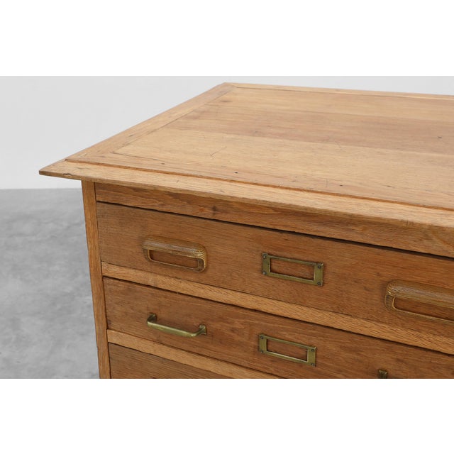 Industrial Oak Filing Cabinet with Brass Handles, United Kingdom, 1920s For Sale - Image 14 of 15