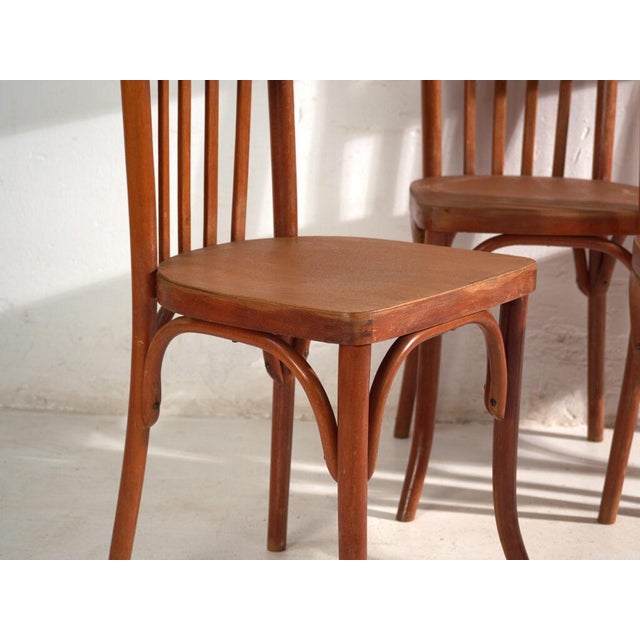 Bentwood Chairs in the style of Thonet, Central Europe, 1930, Set of 4 For Sale - Image 3 of 15
