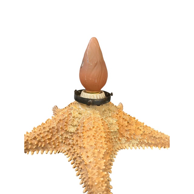 Vintage Natural Conch Shell & Starfish Coastal Table Lamps - a Pair For Sale - Image 18 of 18