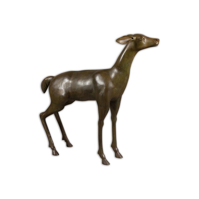 Early 20th Century Continental 1930s Life Size Bronze Sculpture of a Deer Standing on its Four Legs For Sale - Image 5 of 12