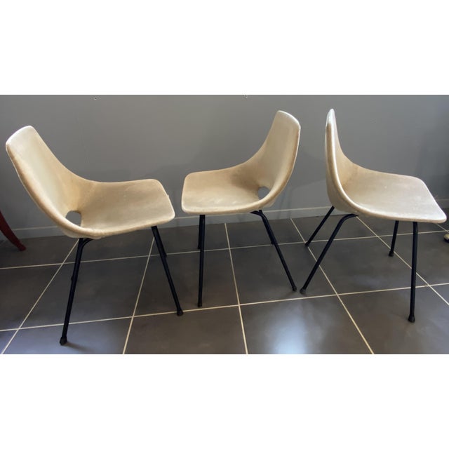 Steiner Vintage Barrel Chair by Pierre Guariche Steiner, 1950s For Sale - Image 4 of 18