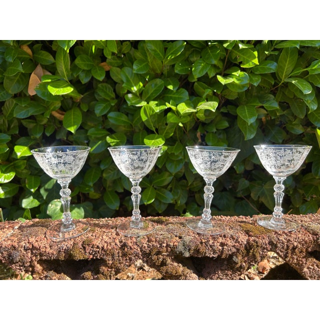 1930s Four 1930s Fostoria Chintz Liqueur or Cordial Glasses Etched With Chintz Pattern- Set of 4 For Sale - Image 5 of 8