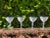 1930s Four 1930s Fostoria Chintz Liqueur or Cordial Glasses Etched With Chintz Pattern- Set of 4 For Sale - Image 5 of 8