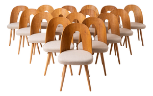 Mid-Century Dining Chairs attributed to A. Suman, 1960s, Set of 10