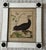 French 18th Century French Hand-Colored Bird Reproduction Engravings by François-Nicolas Martinet - Set of Eight For Sale - Image 3 of 10