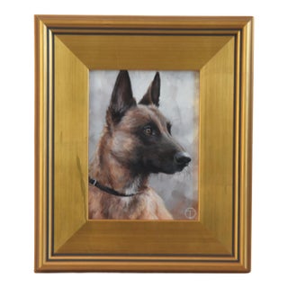 Belgian Shepherd Portrait Painting Including the Antiqued Gold Wood Frame For Sale