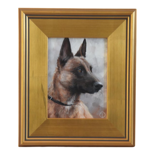 Belgian Shepherd Portrait Painting Including the Antiqued Gold Wood Frame For Sale