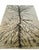 Hand-knotted rug from the "Jungla" series, in pure woven wool. Born from a collaboration with the painter Giuseppe Ajmone,...