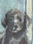 Italian Watercolor Etching of Labrador Puppy by Giorgio Ferrari (B. 1936) For Sale In Baltimore - Image 6 of 18