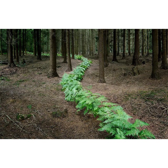 Knit One, Pearl One 7 is a Digital C-Type Print on Fuji Maxima Matte paper, available in this size from a Limited Edition...