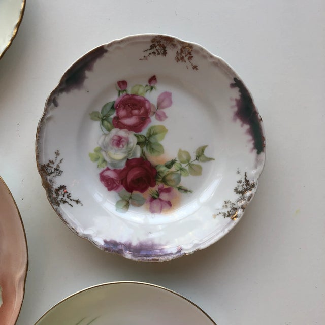 Shabby Chic Vintage German Porcelain Floral Design Hand Painted Wall Plates S/6 For Sale - Image 3 of 9