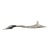 Mid 20th Century Persian Horn Jambiya Style Letter Opener For Sale