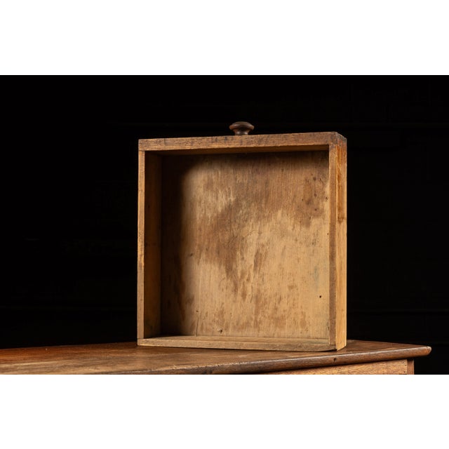 Early 20th Century Jelly Cabinet For Sale - Image 12 of 12