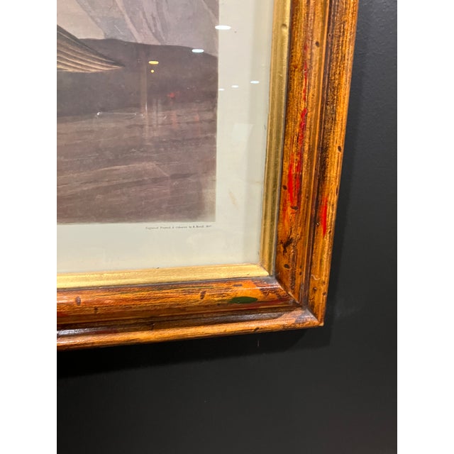 Mid 19th Century Second Edition John James Audubon Print King Duck, Plate CCLXXVI For Sale - Image 9 of 12