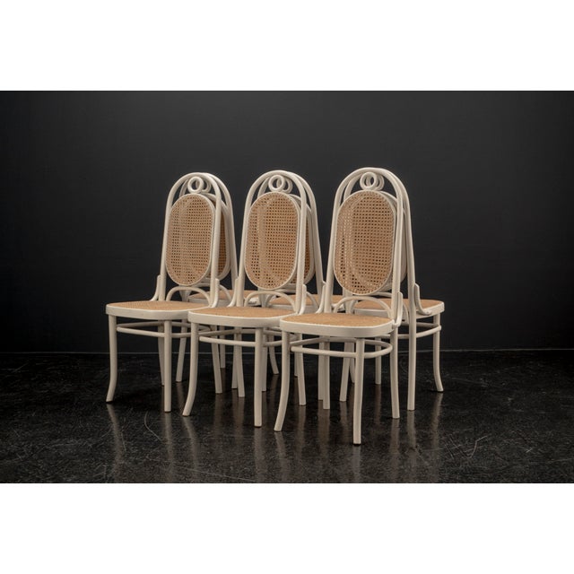Lange Jan Chairs in White Bentwood from FMG Radomsko, 1940s, Set of 6 For Sale - Image 6 of 18