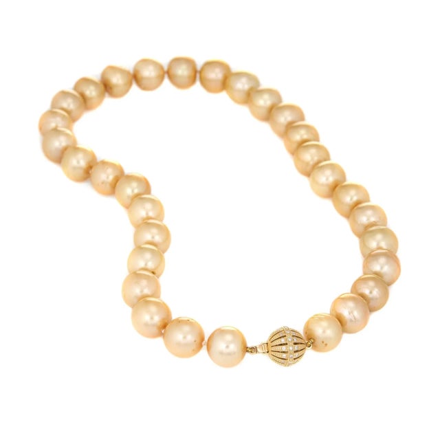 Stylish 13mm to 14mm Golden South Sea Pearl necklace finished with a 14k yellow gold clasp. Golden South Sea Pearls...