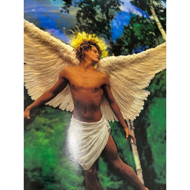 Violet LaChapelle Land by David LaChapelle Hardcover 1st. Ed. Numbered in Original Box For Sale - Image 8 of 18