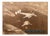 BOAC Lockheed Constellation Speedbird, 1950s, Photography For Sale