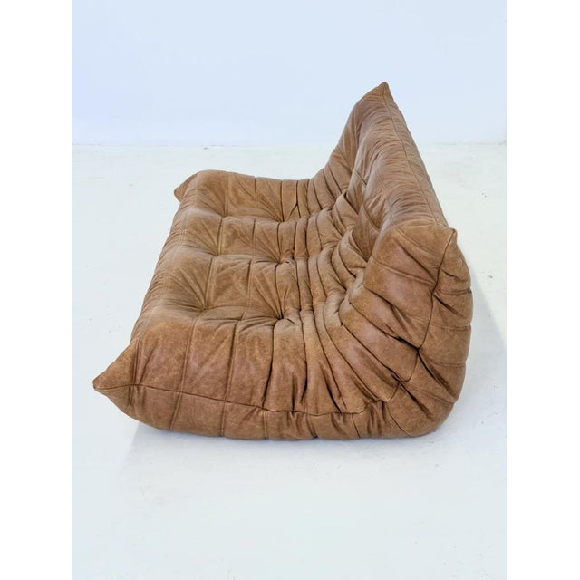 Togo 3-Seater Sofa in Cognac Leather by Michel Ducaroy for Ligne Roset, in Very Good conditions. Designed 1970 to 1979...
