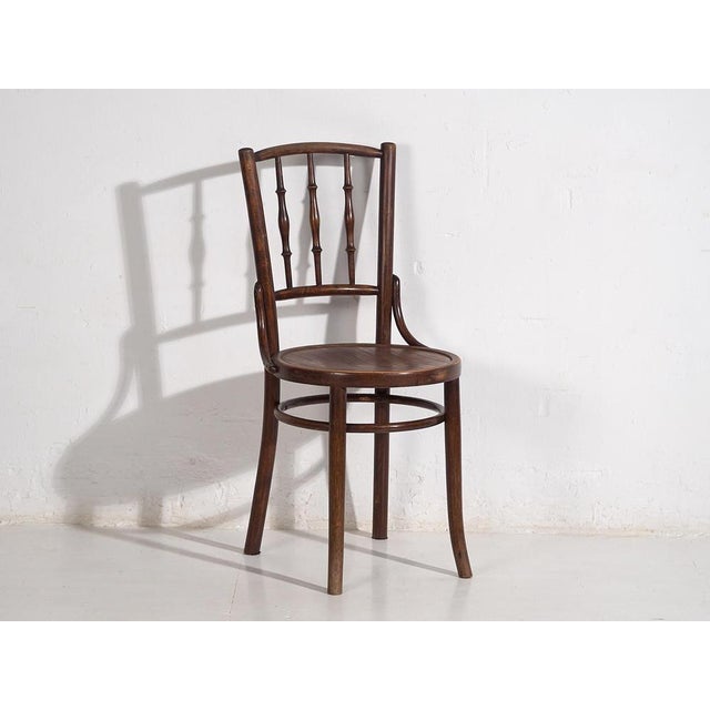 Colored Chairs from Thonet, 1920s, Set of 4 For Sale - Image 12 of 17