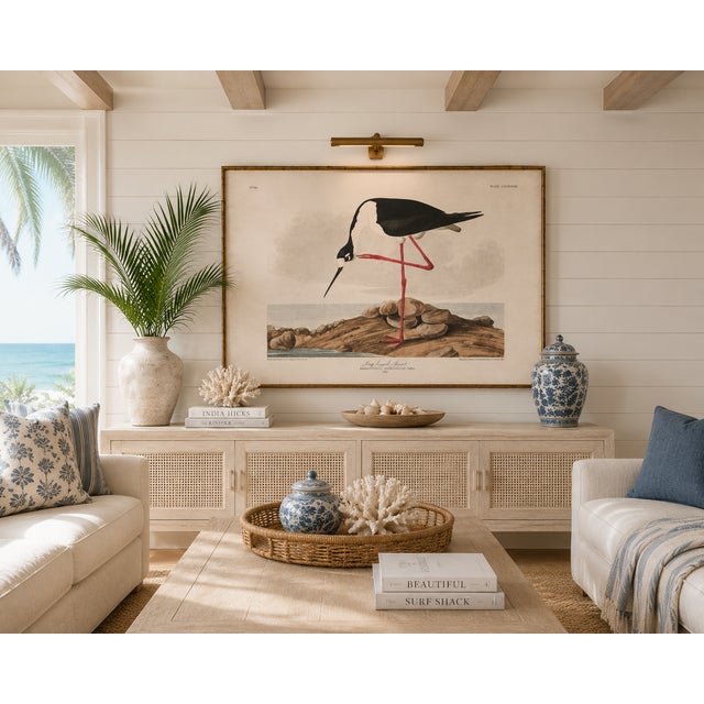 Long-Legged Avocet, Museum Style Audubon Bird Print, 30" X 20" For Sale In Buffalo - Image 6 of 11