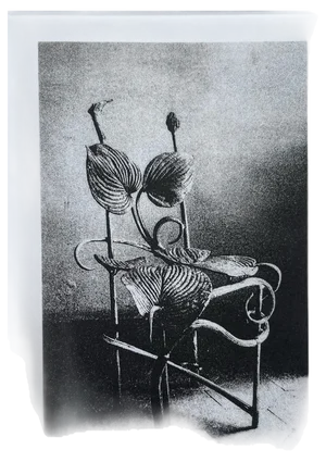 Claude Lalanne, Chaise Horta, Photogravure on Paper, 1990s