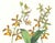Limited edition reproduction print of one of the most famous botanical works ever produced, "The Orchidaceae of Mexico and...