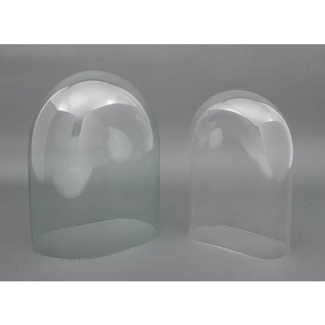 Group of Two Victorian Glass Display Domes, late 19th century, lacking stands. Larger: 19" H x 15" W x 9.5" D.