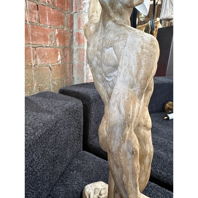 Sculpture Materials Anatomical Skeletal Cast, Italy 80s For Sale - Image 7 of 12