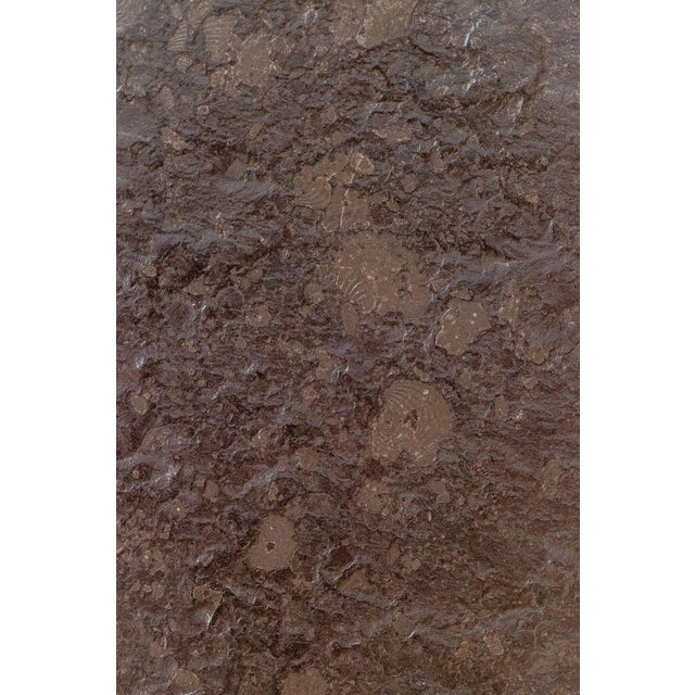 Black French Oak Coffee Table with Fossils, 1960s For Sale - Image 8 of 10