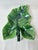 Green Vintage Leaf Shaped Serving Platter For Sale - Image 8 of 10