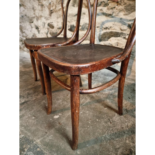 A fine pair of authentic Jacob & Josef Kohn bentwood chairs, produced in Vienna, Austria circa 1900. These chairs...