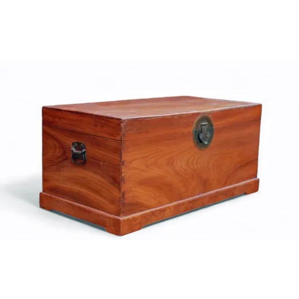 Vintage Beijing Camphor Trunk For Sale - Image 4 of 8