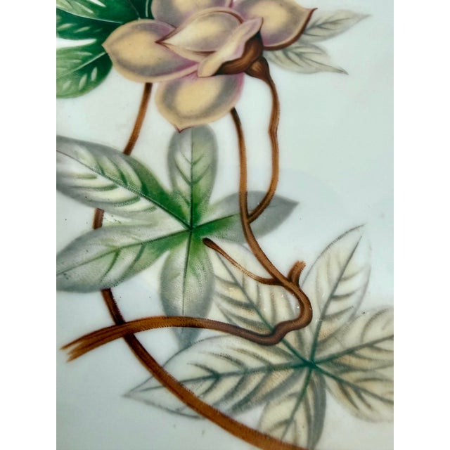 1950s 1950s Meito China “Woodrose” Floral Luncheon Plates, Made in Japan – Set of 6 For Sale - Image 5 of 10