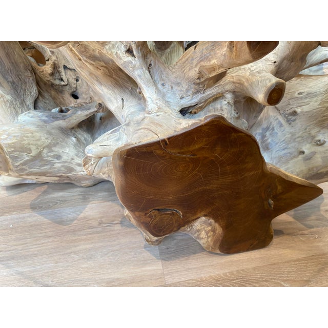 2000 - 2009 Teak Root Ball Base Glass Top Coffee Table Lg For Sale - Image 5 of 10