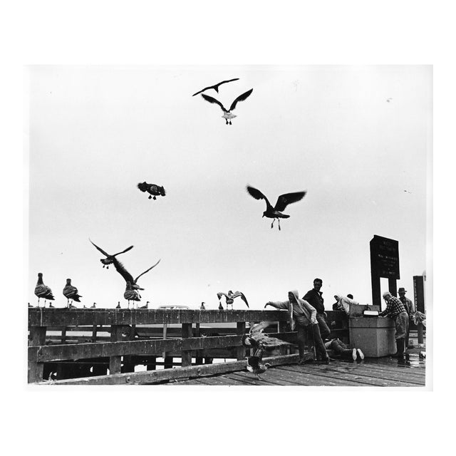 1975s Monterey California Pier With Gulls Photograph by Don Ware For Sale