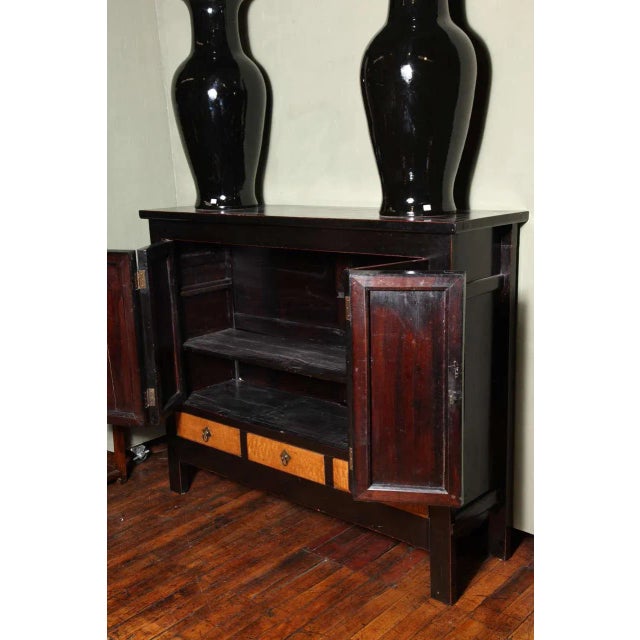Late Qing Dynasty Black Lacquer and Burl Wood Cabinet With Accordion Doors For Sale - Image 10 of 11